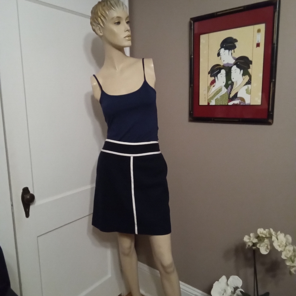 Ann Taylor Skirt